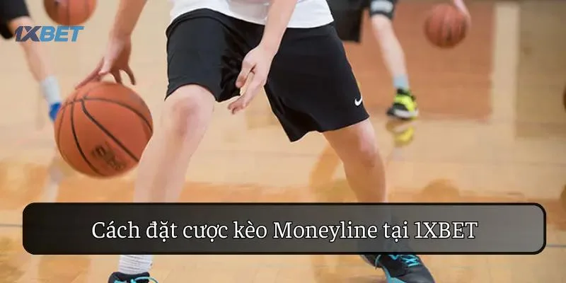 Cách đặt cược kèo Moneyline tại 1XBET