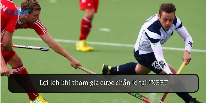 Lợi ích khi tham gia cược chẵn lẻ tại 1XBET