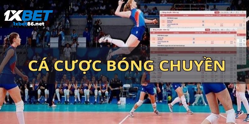 Luật chơi không quá khó đối với người chơi mới 