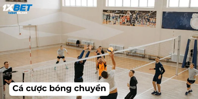 Hướng dẫn luật cá cược bóng chuyền là gì cho mọi thành viên mới