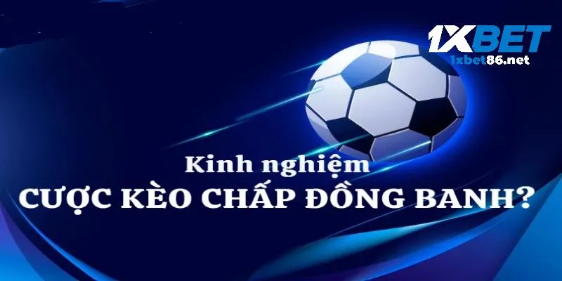 Cần có sự phân tích thông tin để nhận định kèo hiệu quả hơn