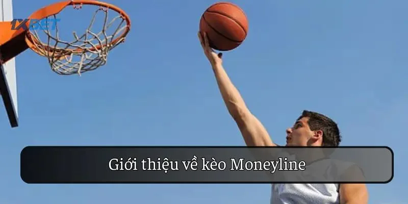 Tìm Hiểu Trải Nghiệm Kèo Moneyline Bóng Rổ Tại 1xbet